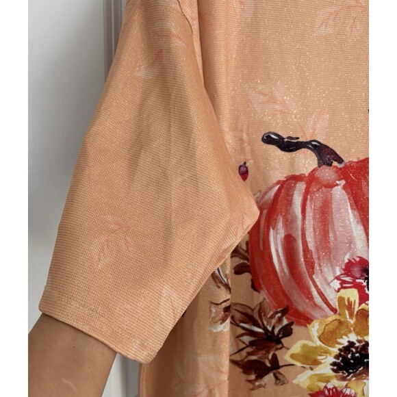 EMILY DANIELS WOMENS TOPS PULLOVER SCOOP NECK 3/4 SLEEVE FALL PUMPKING CARDINALS - Picture 7 of 7